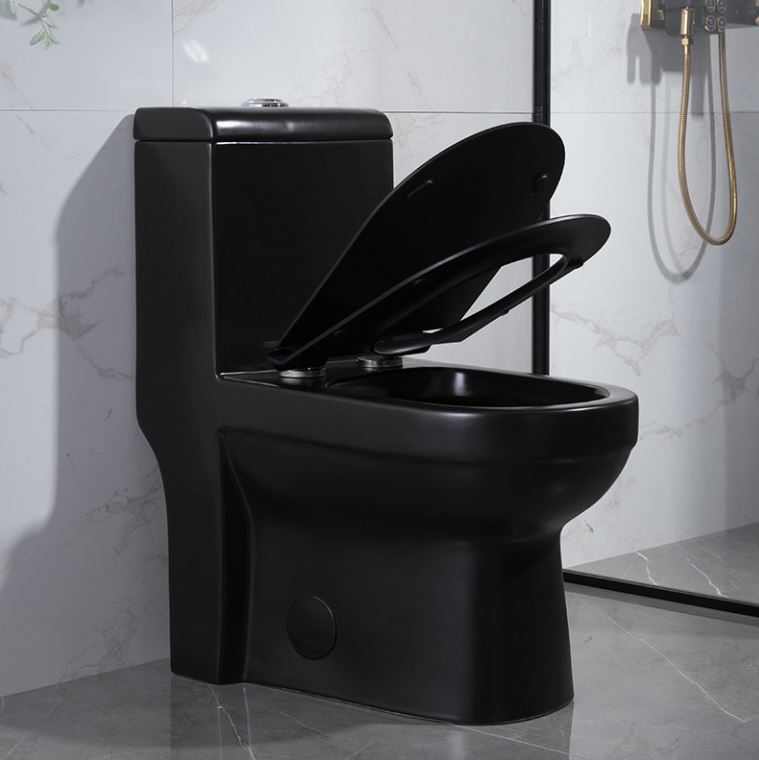 TOILET SEAT